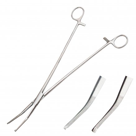 Затискач по Bengolea, зігнутий із зубом. Довжина 28,0 см